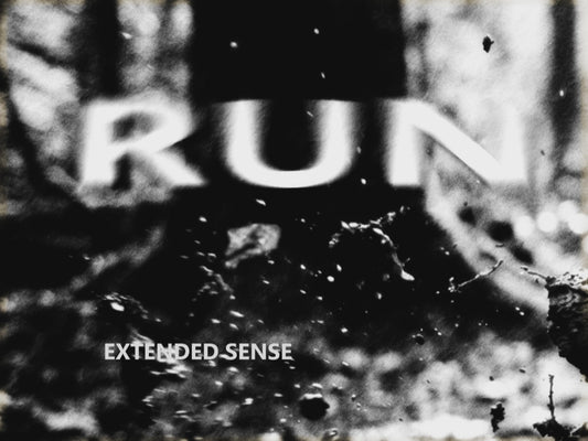 RUN. Extended Sense. (Download formats MP4/VLC/WAV/MP3)