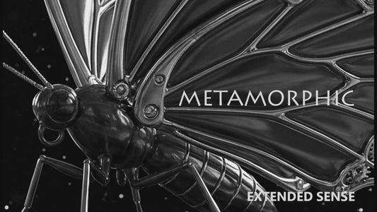 METAMORPHIC. Extended Sense. (Download formats MP4/VLC/WAV/MP3)